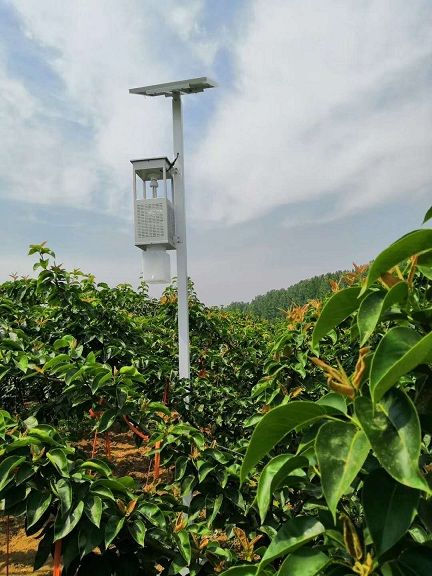 樱桃视频成人免费版太阳能风吸式杀虫灯